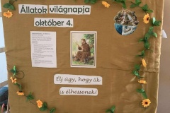 Állatok világnapja 2025/26